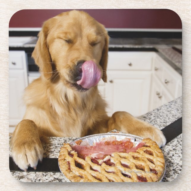 Dog licking nose after eating cherry pie in coaster (Front)