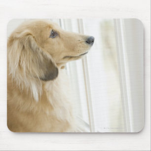 Dog looking out window mouse pad