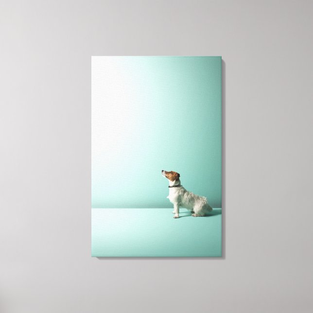 dog looking up into space canvas print (Front)