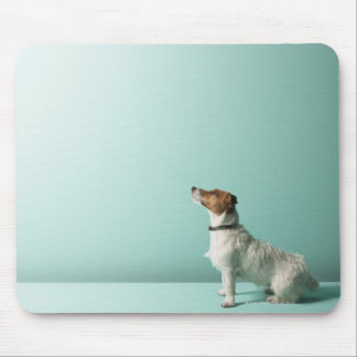 dog looking up into space mouse pad