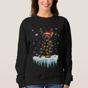 Dog Lover   Chocolate Labrador Christmas Light Sweatshirt