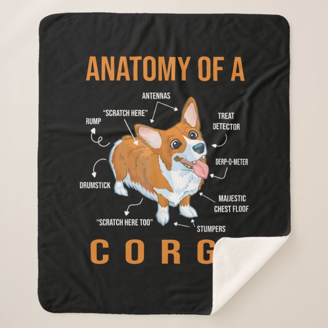 Dog Lover Cute Corgi Sherpa Blanket (Front)