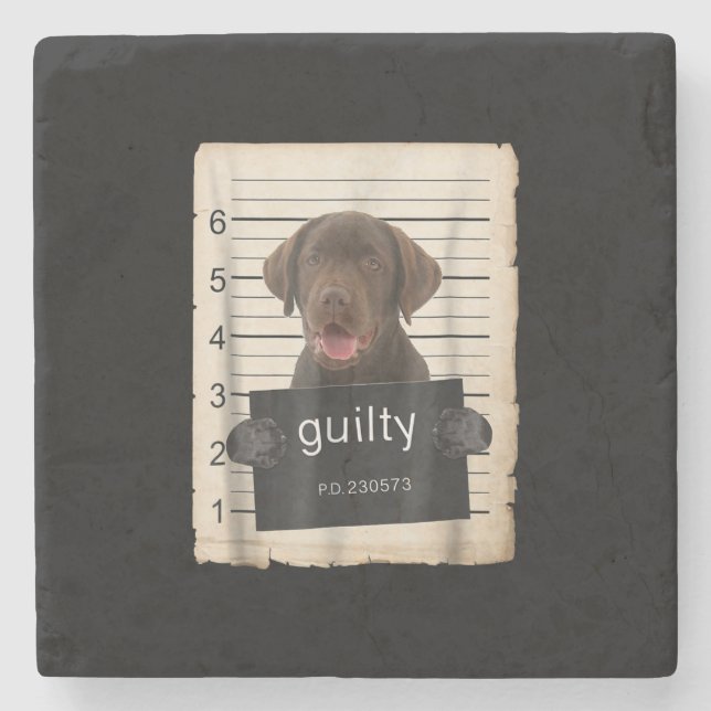 Dog Lover | Guilty Chocolate Labrador Bad Dog Stone Coaster (Front)