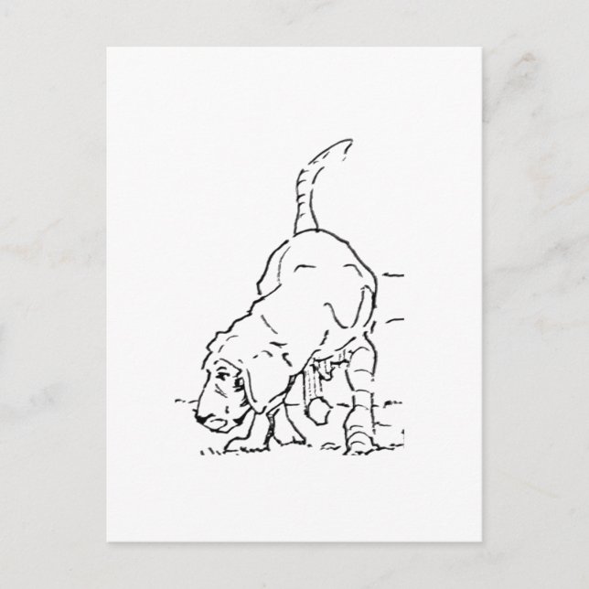 Dog Lover Memory, Beagle Illustration Postcard (Front)