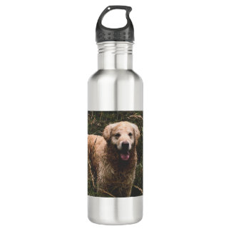 Dog lover product 710 ml water bottle