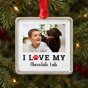 Dog Lover Red Pet Paw Print Personalized Photo Metal Ornament