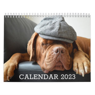 Dog Lover's Calendar
