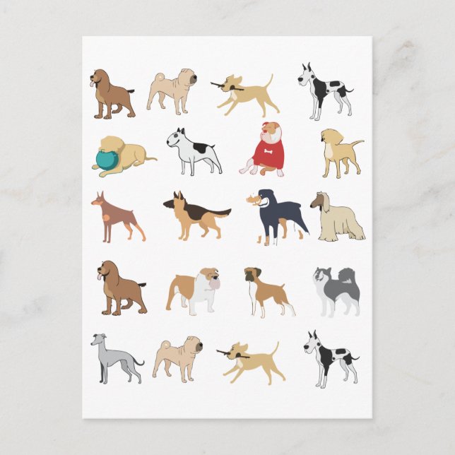 Dog Lover's Club Pattern Postcard (Front)