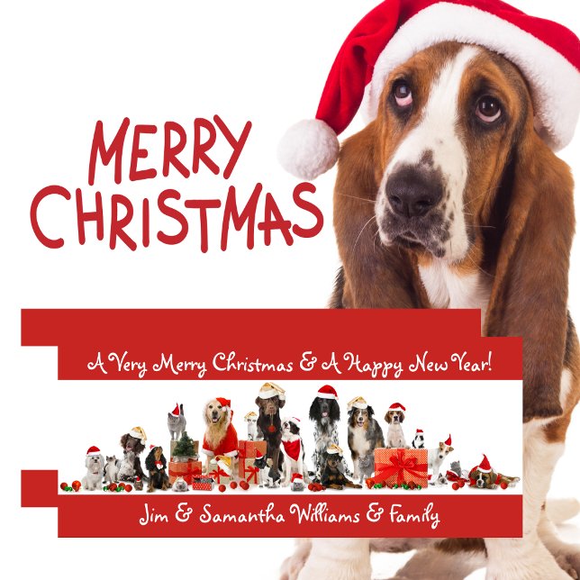 Dog Lovers Merry Christmas Card (Dog Lovers - Merry Christmas Card)