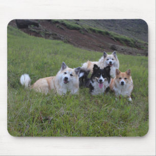 Dog lover's mousepad, customize mouse pad