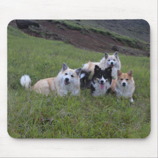 Dog lover's mousepad, customize mouse pad