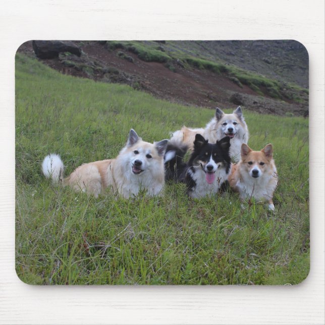 Dog lover's mousepad, customize mouse pad (Front)