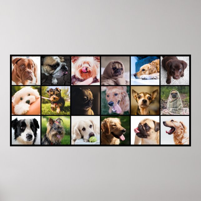Dog Lover's poster (Front)