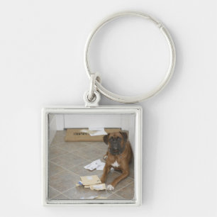 Dog lying by doormat and chewed mail keychain