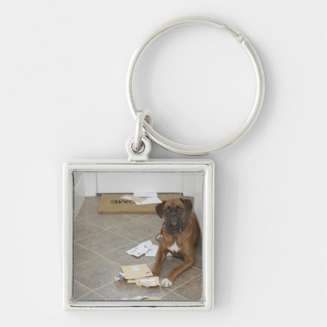Dog lying by doormat and chewed mail keychain (Front)
