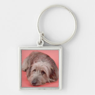 Dog lying down keychain
