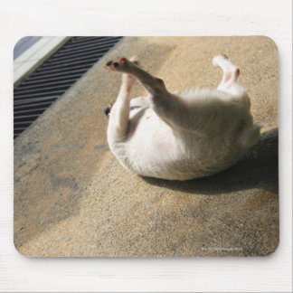 Dog lying on the floor mouse pad