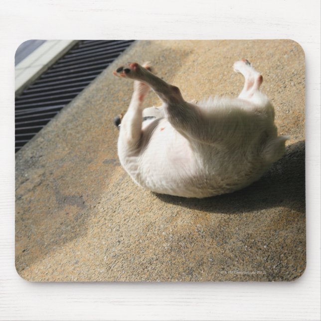 Dog lying on the floor mouse pad (Front)