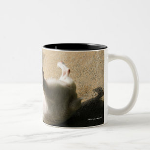 Dog lying on the floor Two-Tone coffee mug