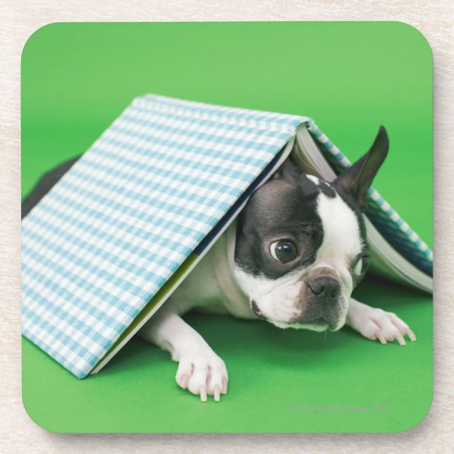 Dog lying under book coaster (Front)