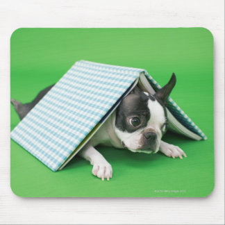 Dog lying under book mouse pad