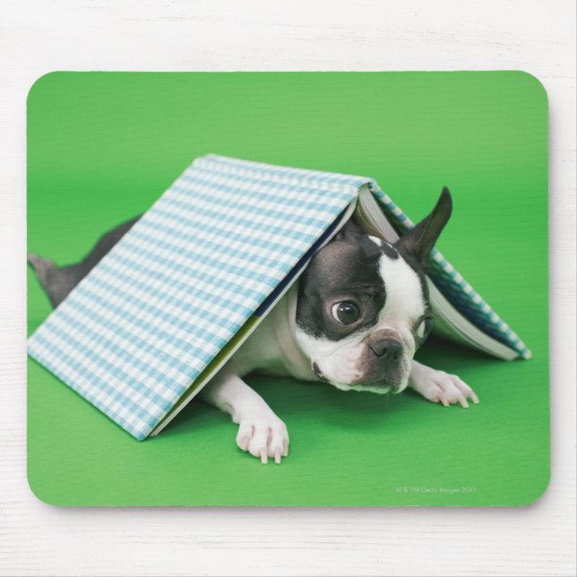 Dog lying under book mouse pad (Front)