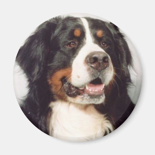 Dog Magnet (Front)