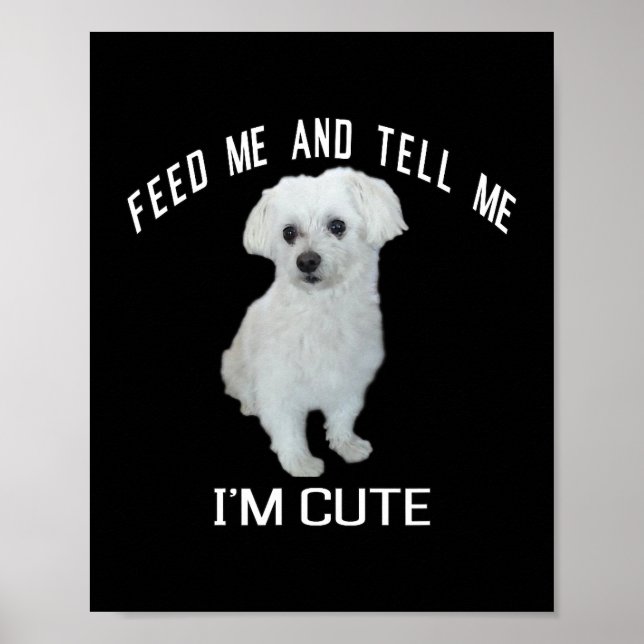 Dog Maltese Cute Maltese Dog Funny Quote Puppy Mal Poster (Front)