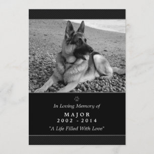 Dog Memorial Card 5"x7" Black - Don't Grieve Poem