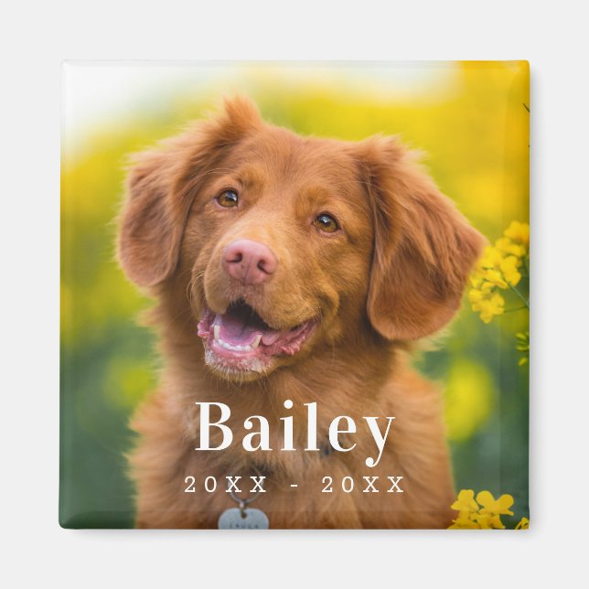 Dog Memorial Custom Pet Photo Fridge Magnet (Front)