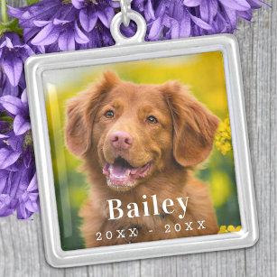 Dog Memorial Custom Pet Photo  Silver Plated Necklace