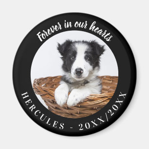 Dog Memorial Forever In Our Hearts Black Magnet