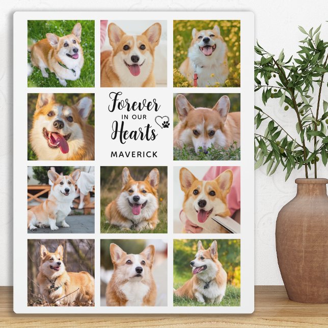 Dog Memorial Forever In Our Hearts Photo Collage Plaque (Creator Uploaded)