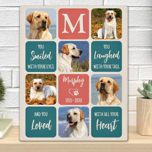 Dog Memorial Gift Pet Loss Modern Colourful 6 Phot Plaque