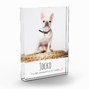 Dog Memorial Pet Loss Keepsake Photo Custom Block