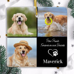 Dog Memorial Pet Loss Personalized 3 Photo Collage Ceramic Ornament<br><div class="desc">Introducing the perfect keepsake to honour the memory of your beloved pets - the Paw Prints - Forever in our Hearts pet memorial ornament. This elegant and modern ornament is the ideal way to celebrate the life of your furry friend that has crossed the rainbow bridge. Crafted with utmost care,...</div>