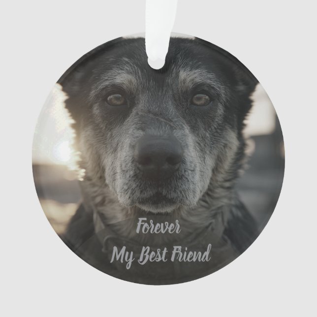Dog Memorial Photo Ceramic Ornament (Front)