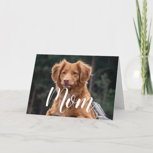 Dog Mom Funny Happy Birthday Cute Dog Mom Card (Front)