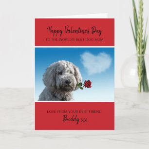 Dog Mom Valentine From Dog With Red Rose Holiday Card