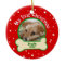 Dog My First Christmas Red and Green Pet Photo