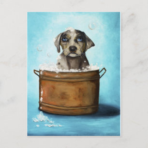 Dog n Suds Postcard