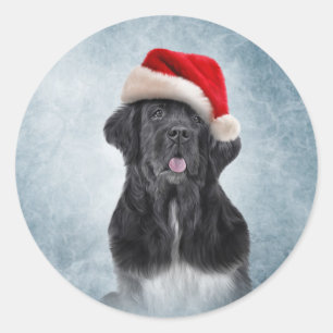 Dog Newfoundland in red hat of Santa Claus Classic Round Sticker