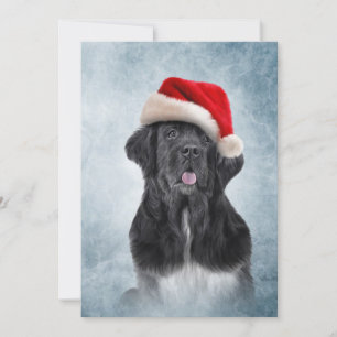 Dog Newfoundland in red hat of Santa Claus Invitation
