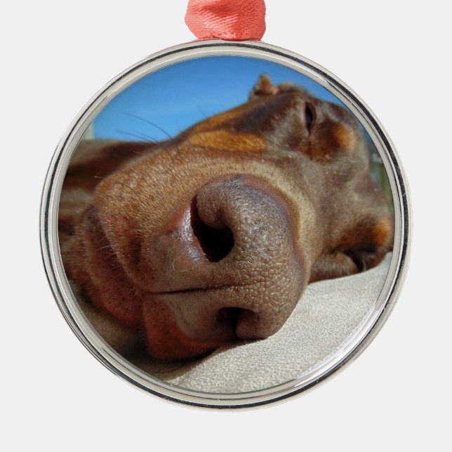 Dog nose metal ornament (Front)