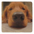 Dog Nose Trivet