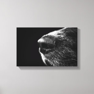 Dog Nose Wrapped Canvas