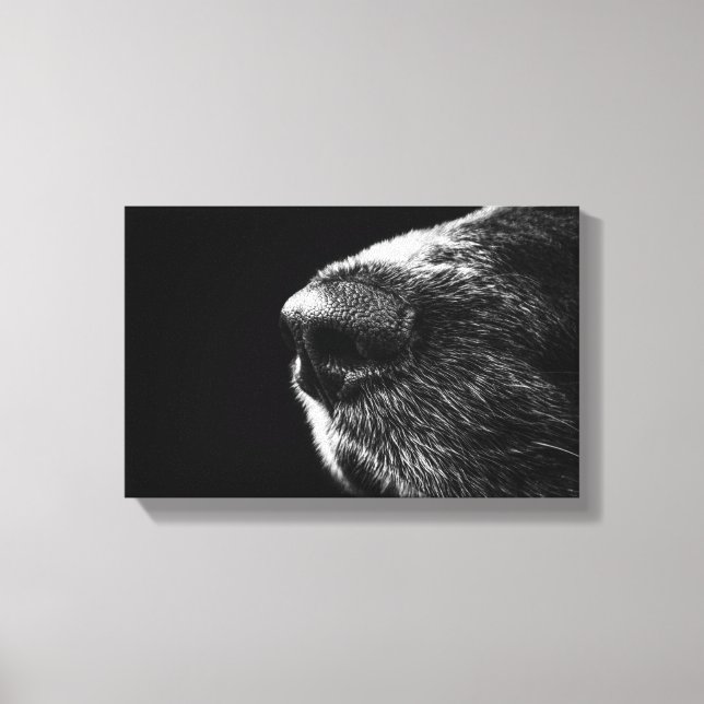 Dog Nose Wrapped Canvas (Front)