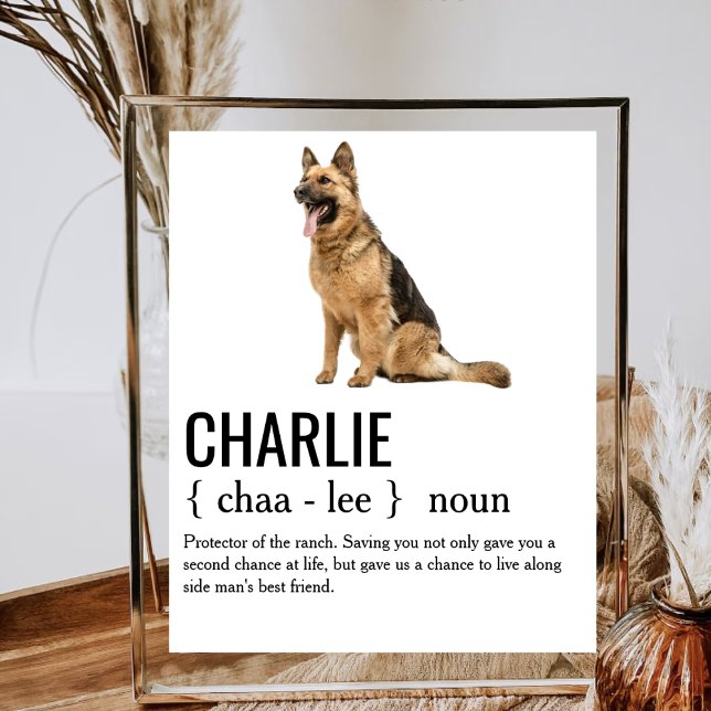Dog Noun Definition Dog Mom Dad Dog Lover Owners Poster (Creator Uploaded)