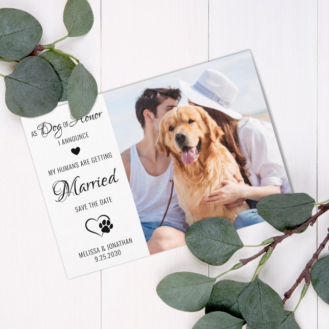 Dog Of Honour Personalized Pet Photo Dog Wedding Save The Date (Creator Uploaded)