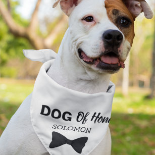 Branded dog clearance bandanas